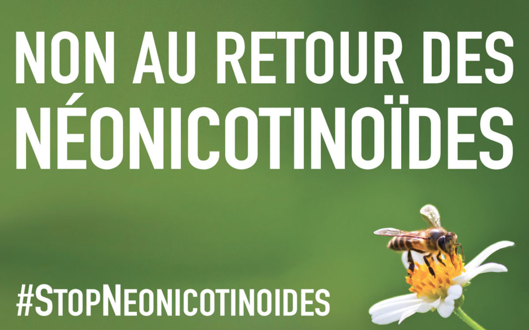 Non au retour des Néonicotinoïdes !