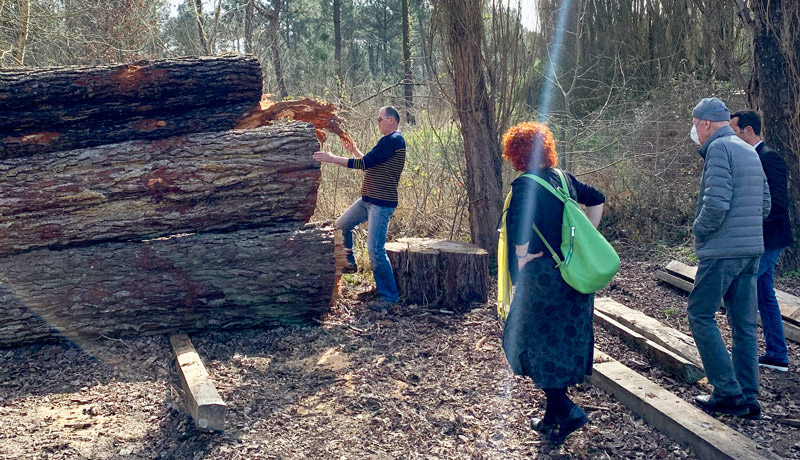 Laissons la forêt telle quelle est