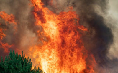 Dérèglement climatique et incendies