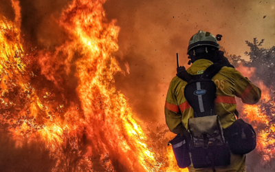 Incendies : le Sénat adopte une loi sans ambition