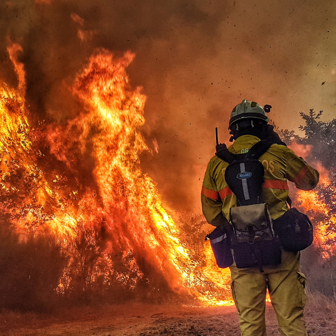 Incendies : le Sénat adopte une loi sans ambition