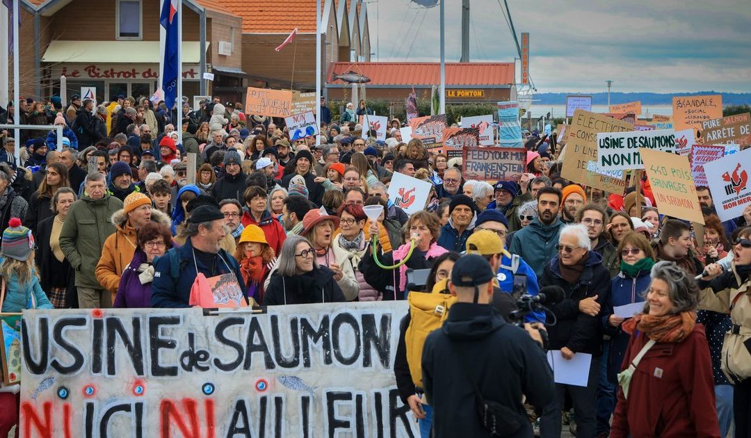 Non au projet Pure Salmon !