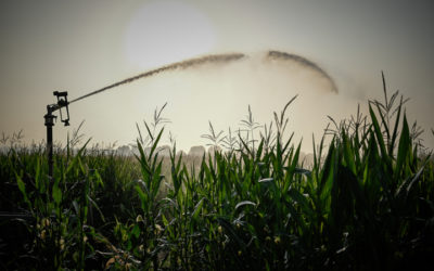 Stop à la Loi d’Urgence Agricole !